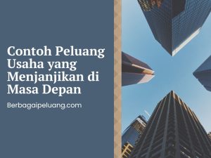 Contoh Peluang Usaha yang Menjanjikan di Masa Depan